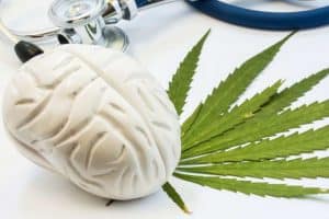 CBD for arthritis pain