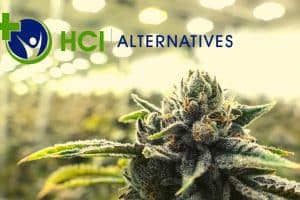 Collinsville Dispensary Permitted to Sell Recreational Pot, Gets License