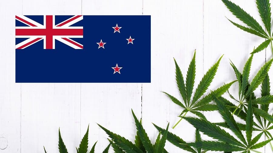 PledgeMe Has Raised Over $6 Million for Marijuana Startups in Forthcoming Referendum on Cannabis