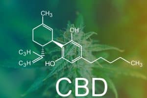 Now Zimbabwe's Ivory Medical Can Cultivate Cannabis at Prison Facility