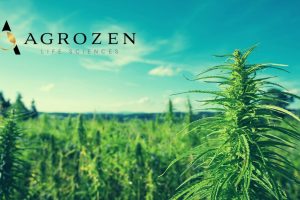Agrozen Life Sciences Announces Launch of R&D Hemp Cultivation Center