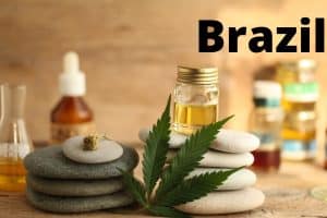 Brazil Approves Marijuana Medicines in Pharmacies