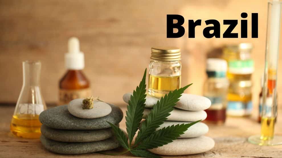 Brazil Approves Marijuana Medicines in Pharmacies