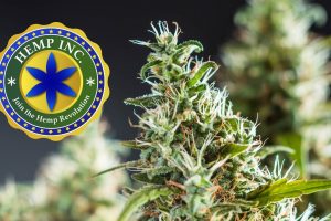 Hemp, Inc. Extends Support to USDA's Latest Insurance Option for Hemp