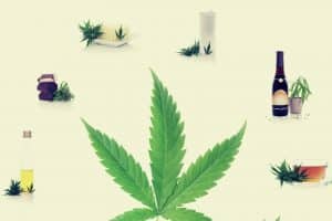 Maryland to Come Up With New Regulations for Cannabis Edibles