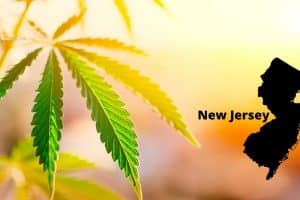 New Jersey Policymakers to Present Marijuana Referendum to Voters in 2020