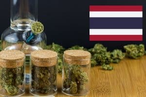 Contaminated Marijuana Exposed by Thailand Authorities