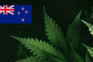Detailed Cannabis Control Bill Released Today