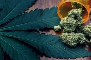 Zeacann and AUT Obtain Licenses For R&D of Medicinal Cannabis