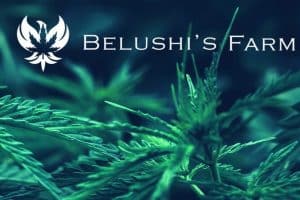 Jim Belushi to Deliver a Keynote at Cannabis Conference, Las Vegas