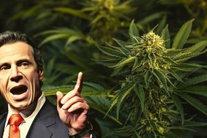 New York’s Governor Cuomo Encourages Possibilities of Legalizing Marijuana