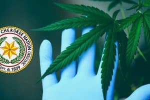 Cherokee Nation to Study Hemp and Cannabis Industry in Oklahoma