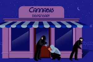 Thieves Target Recreational Marijuana Dispensary