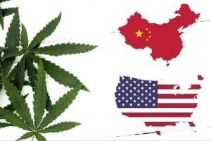 China Ought to Buy More Hemp From the US Under New Trade Deal