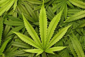 House Committee Holds Hearing on Issues Blocking Federal Cannabis Legalization