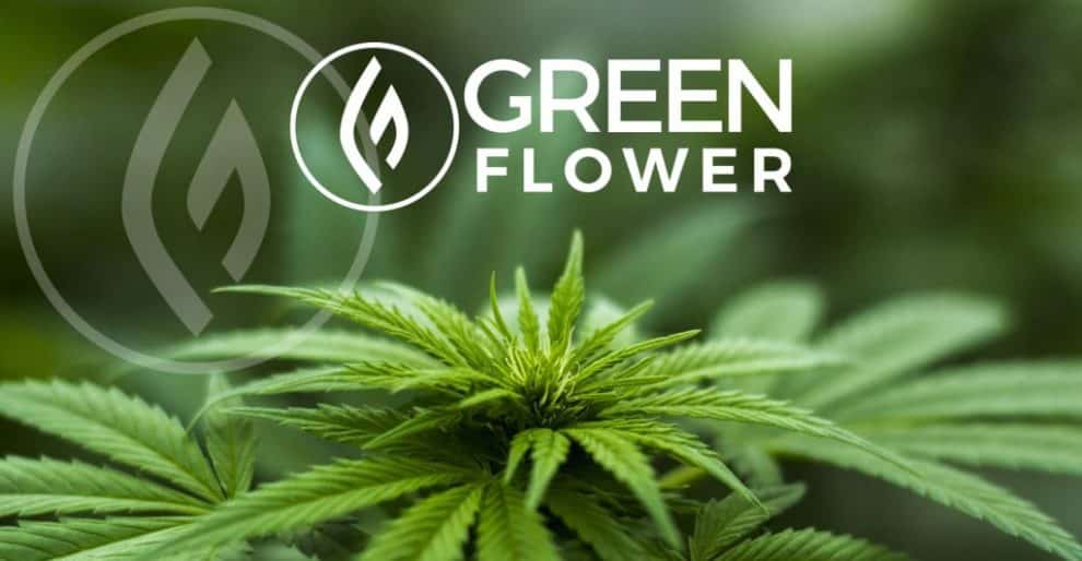 Green Flower Media Introduces CBD Certificate Program