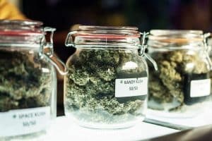 Surging Demand for Recreational Marijuana