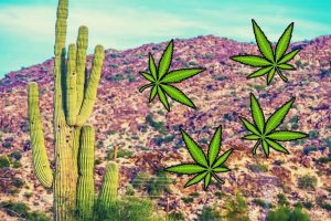 Tests Find High THC Levels in Some Hemp Crops of Arizona
