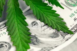 Colorado Plans to Bring Banking to the Cannabis Industry