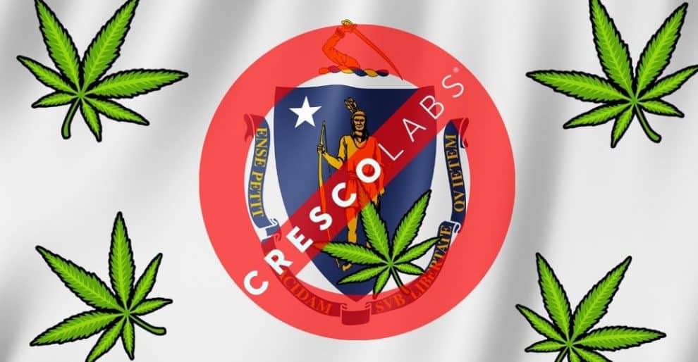 Cresco Labs and Massachusetts Cannabis