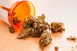 Sclerosis Patient Demands for Legalizing Cannabis for Medical Use in Australia