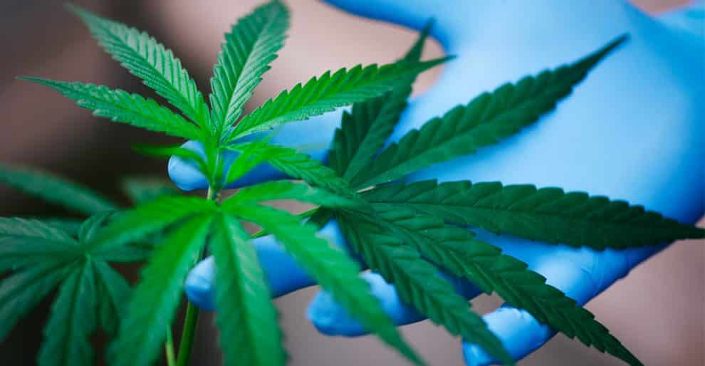 Missouri Tries to Start Legalizing Recreational Marijuana